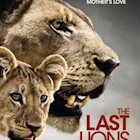 THE LAST LIONS