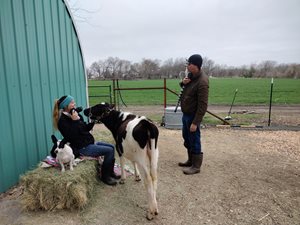 Anabelle's Wish -  Tiny Hooves Rescue and Petting Zoo