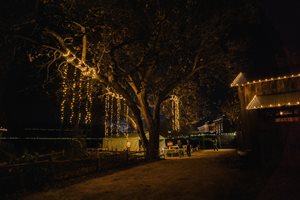 Christmas Lights in the Village - Mayborn Museum Complex