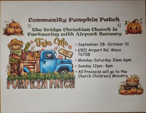 Community Pumpkin Patch at Airport Nursery