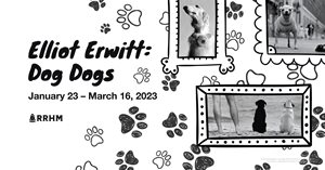 Elliot Erwitt: Dog Dogs Display - Temple Railroad and Heritage Museum