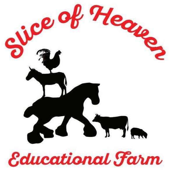 Slice of Heaven Educational Farm Field Trips