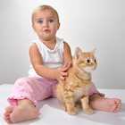 10 Reasons Toddlers are Like Cats