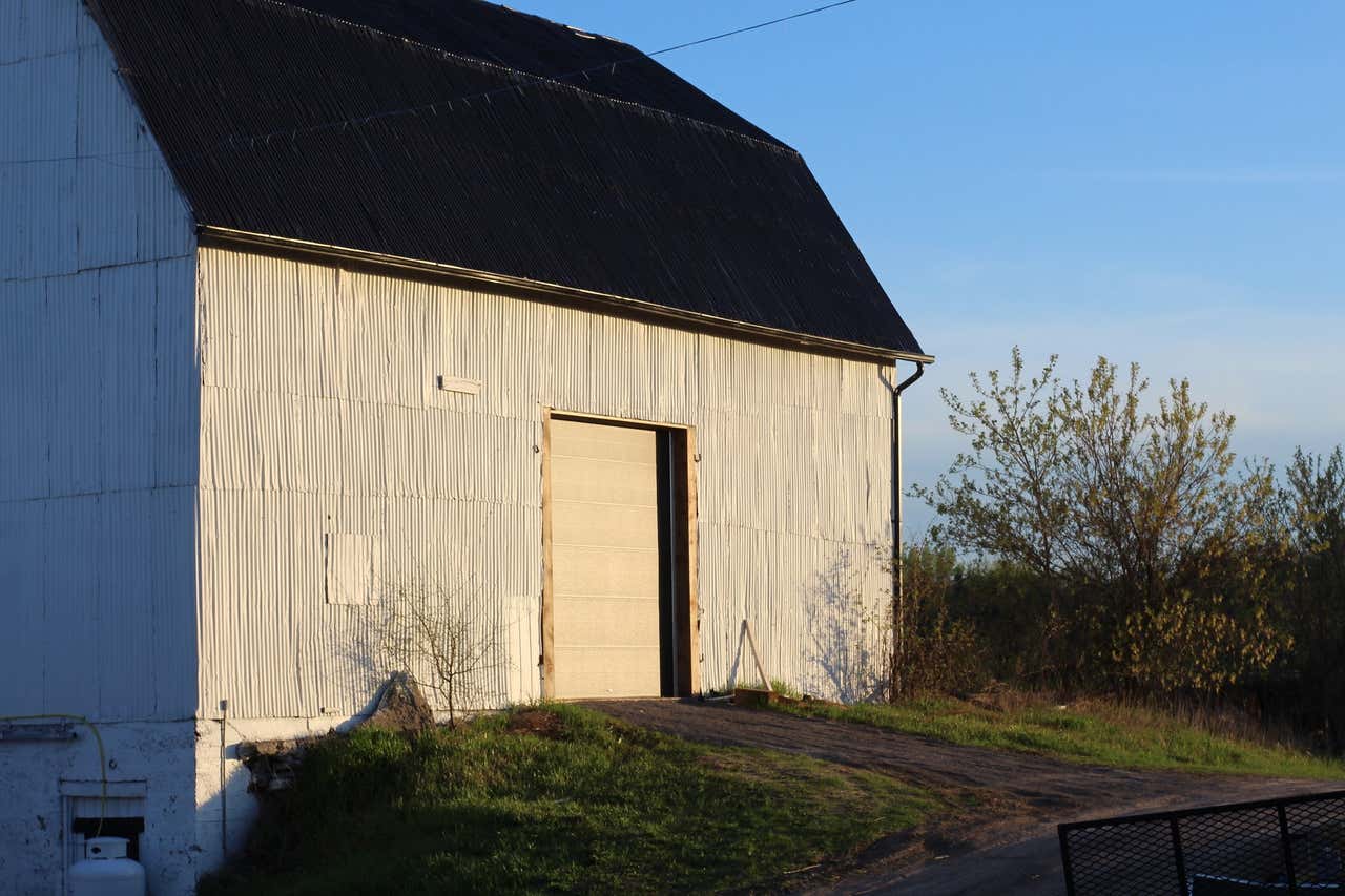 White barn in early morning light, side door open, gravel lane running past