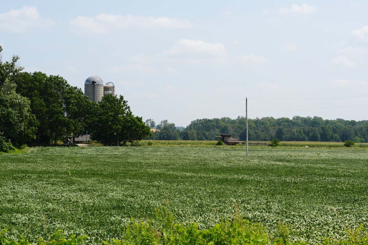 Farm fields with silos in the background, reminiscent of the Varty family farm