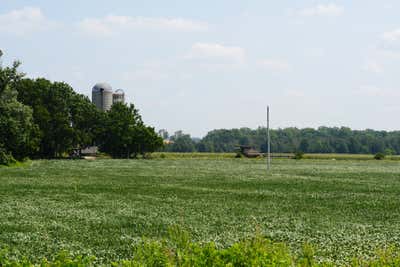 Farm fields with silos in the background, reminiscent of the Varty family farm