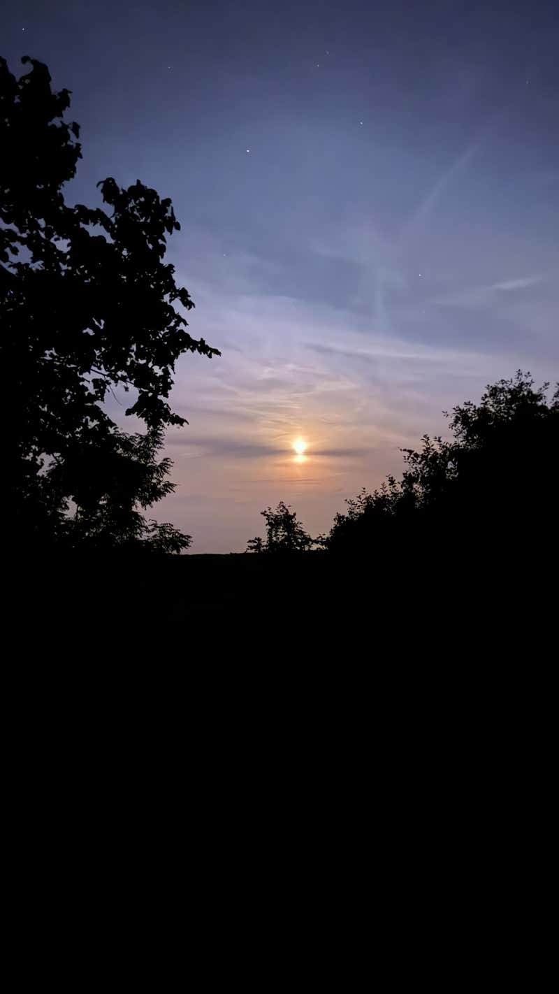 The last of the light going down behind the treeline