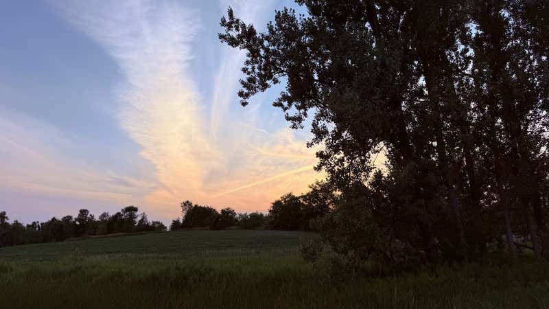 Sunset over the field and the big trees at the farm