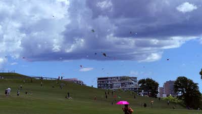 A sky full of kites