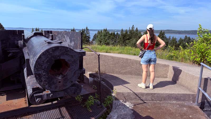 Looking back out over the harbour from the emplacement