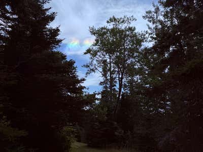 A little rainbow in the clouds through the trees