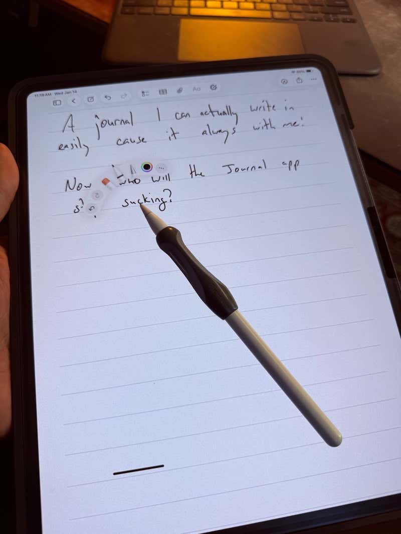 Handwritten journal entry on iPad