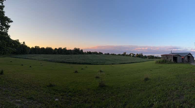 Same field, a couple hours later.