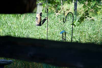 And sometimes the angle is mostly fence rail.