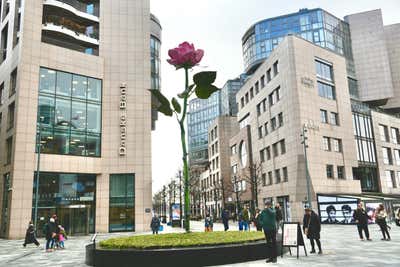 Giant rose sculpture at Aker Brygge
