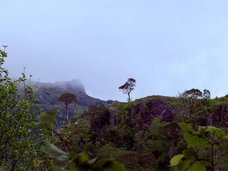 Mist clinging to the peaks above the glen, with a lone pine on the ridge