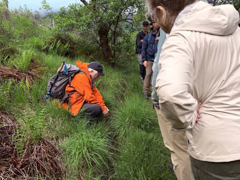 Rory crouching down in the grass to talk us through something he wanted us to see
