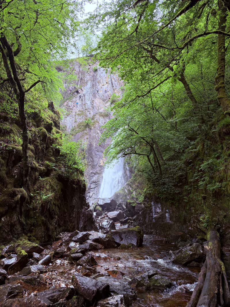 Looking down into the gorge below the falls