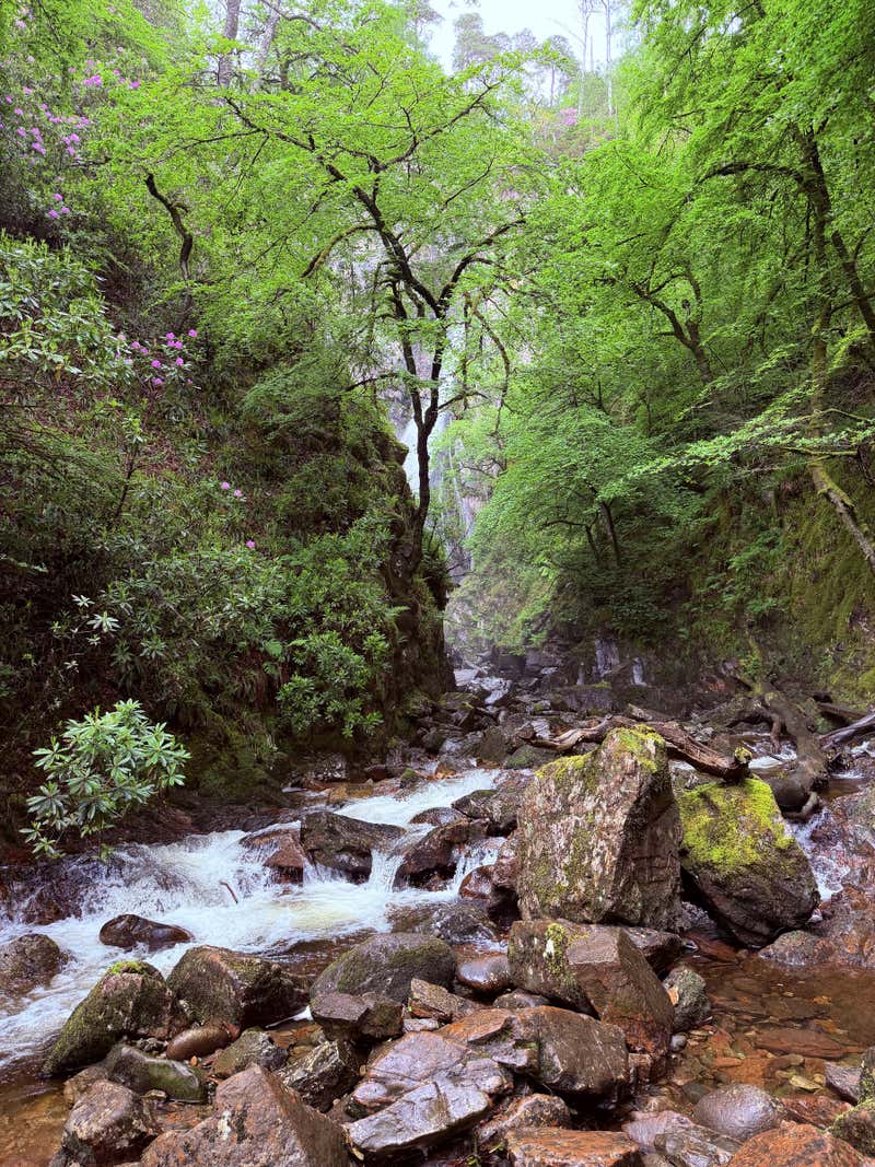 The Grey Mare's Tail itself, dropping down through the moss and rocks