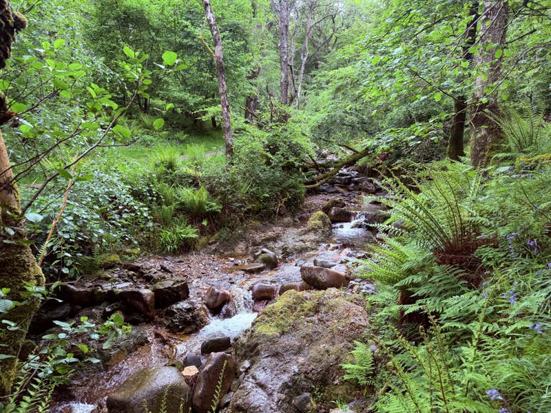 The little woodland walk up to the falls