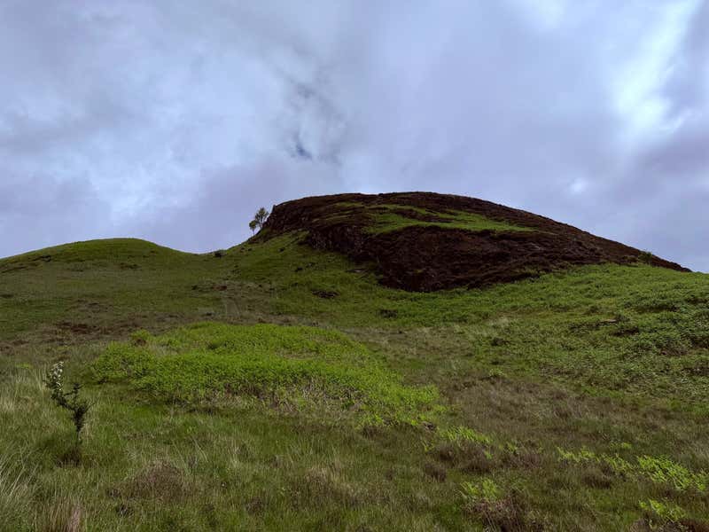 One of the dark rocky shoulders of Conic Hill above us, still a fair way to go