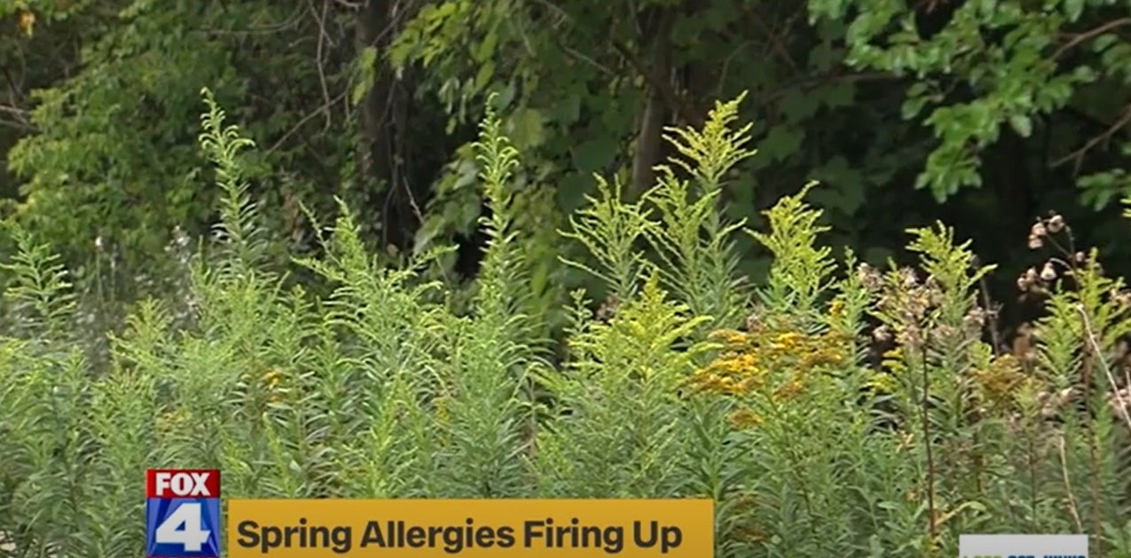 Tips on how to treat spring allergies