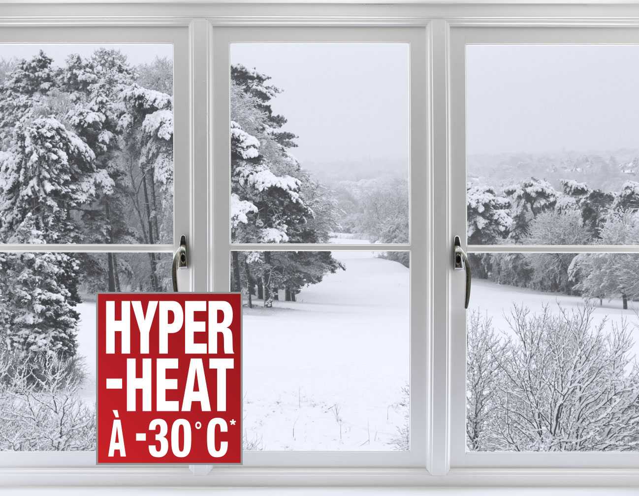 Un paysage en hiver
