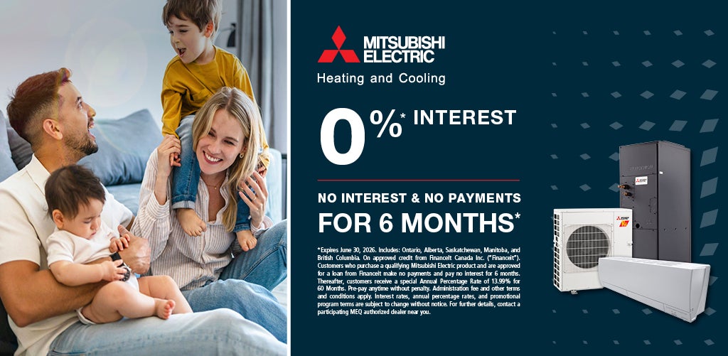 Financing promotion: 0% interest, no interest for 6 months