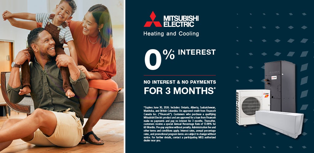 Financing promotion: 0% interest, no interest and no payments for 3 months
