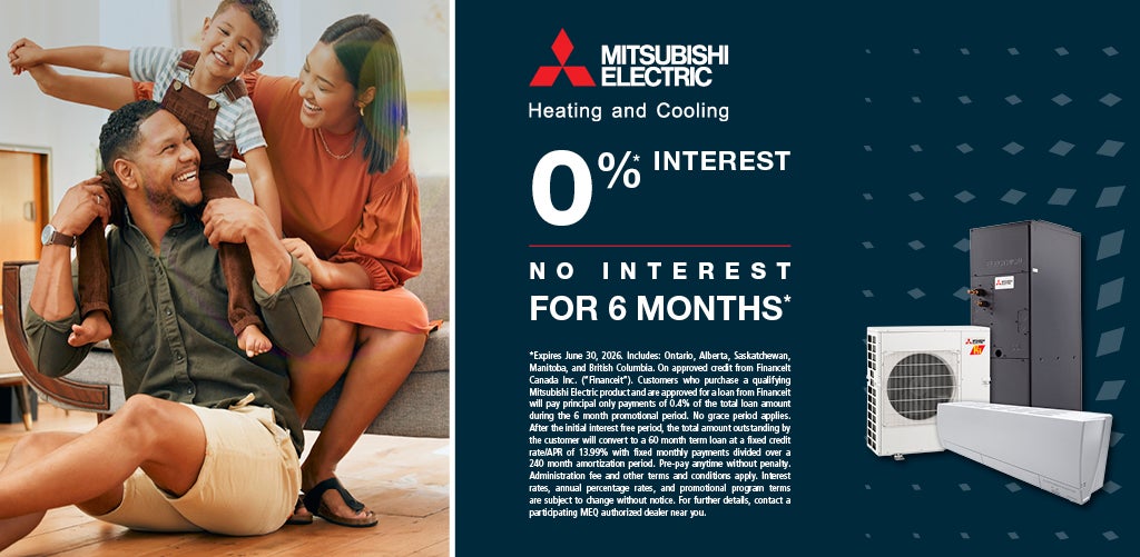 Financing promotion: 0% interest, no interest and no payments for 6 months
