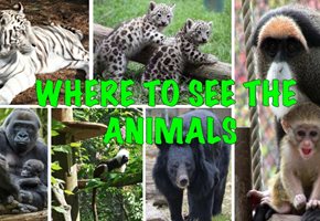 Fabulous Zoos in New Jersey and New York and surrounding areas