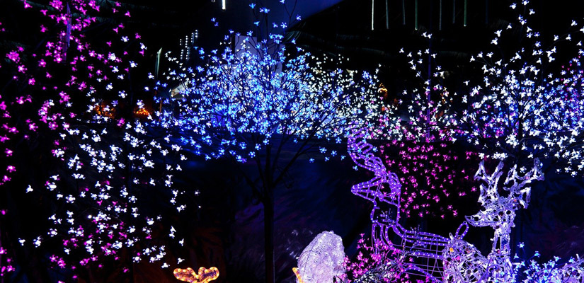 The 5 Best Christmas Lights of 2024