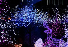 Best NJ Holiday Lights and Christmas Attractions