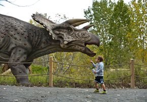 Jersey Dinosaur Attraction is Back for all Families to Enjoy