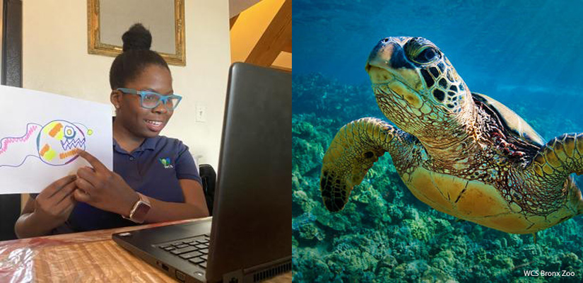 online instructor Wildlife camp Bronx Zoo