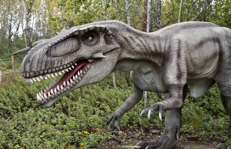 Events - NJ Field Station: Dinosaurs