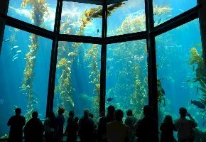 Virtual Guide to Zoos and Aquariums...Visit Your Favorite Animal Anywhere in The World