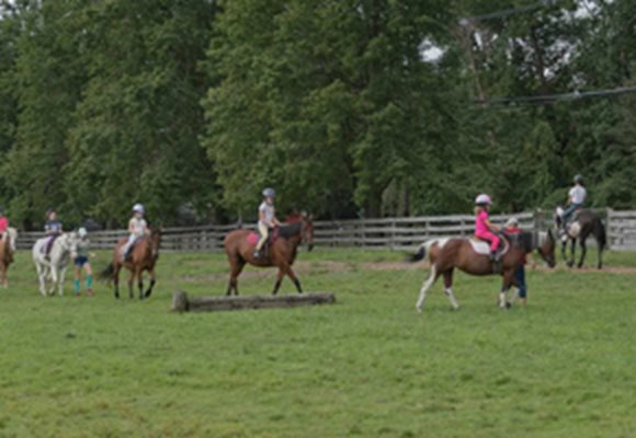 Seaton Hackney Stables Equestrian Summer Camp