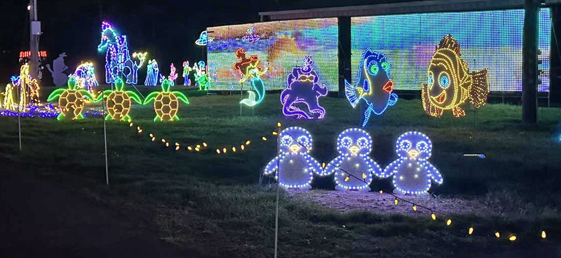 The 7 Best Christmas Lights for 2023