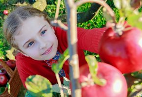 Fall Apple and Pumpkin Picking for Kids at NJ Farms 