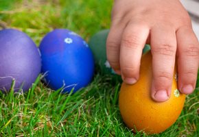 Guide to Easter Events and Easter Egg Hunts in NJ