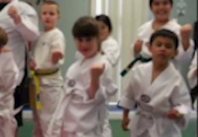 Sensory Taekwon-Do Inspired Adaptive Martials Arts Program for Children with Autism, PDD, ADHD, and Dyspraxia
