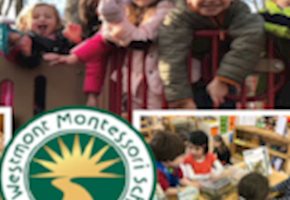 The Westmont Montessori School  Is A Unique Learning Environment