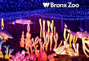 Guide to Christmas Attractions in New York City