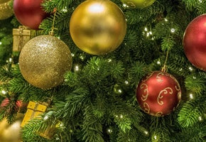 Guide to The Festival of Trees