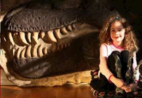 Dinosaurs Rock Offering Home Educational Activities