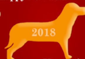 Year of the Dog 2018 - Happy Lunar and Chinese New Year!