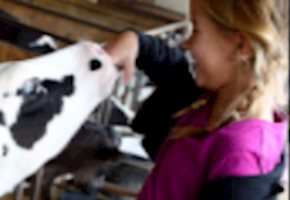 Community Member Creates Udderly Full Scholarship Program After Life-changing Experience at Fulper Farms