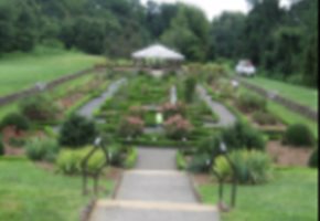 Explore Central and South Jersey's Beautiful Gardens