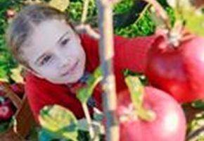 Fun Farms in New Jersey - Pick Your Own Farms